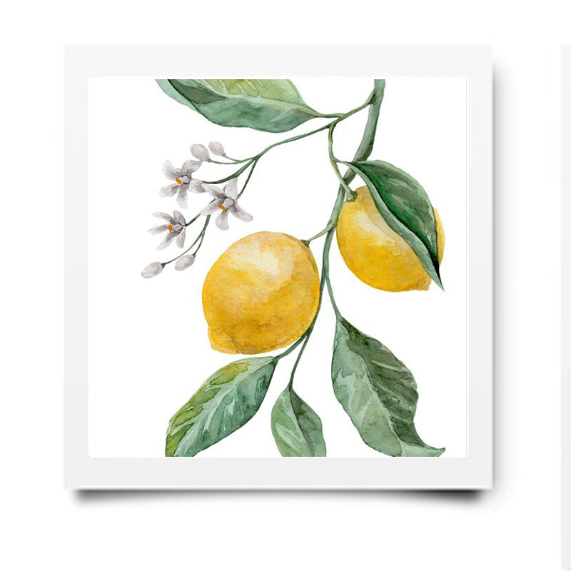 Studio Lumière - enkel voor ondernemers: AQUAREL INITIATIE