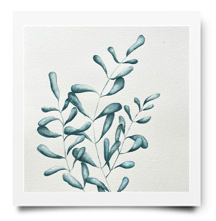 WEBSHOP: AQUAREL PAKKET ZEEWIER