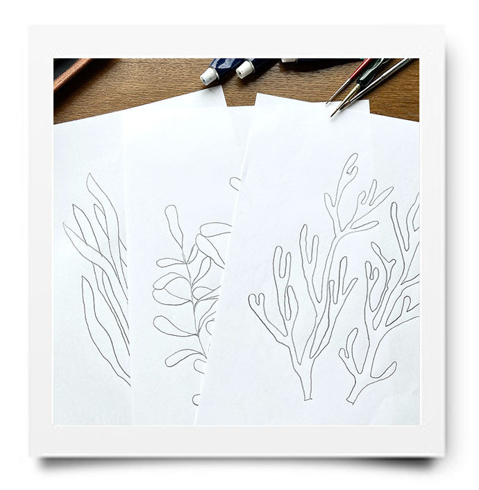 WEBSHOP: AQUAREL PAKKET ZEEWIER