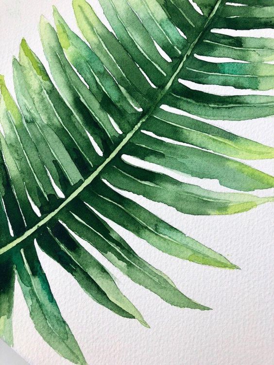 Studio Lumière - enkel voor ondernemers: AQUAREL INITIATIE