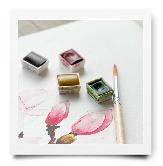 WEBSHOP: AQUARELDOOS WINSOR & NEWTON