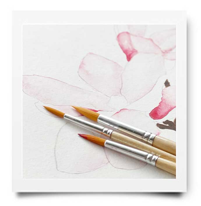 WEBSHOP: AQUARELDOOS WINSOR & NEWTON