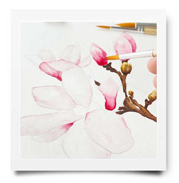 WEBSHOP: AQUARELDOOS WINSOR & NEWTON