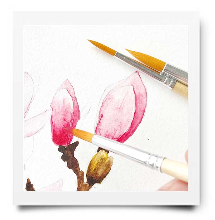 WEBSHOP: AQUARELDOOS WINSOR & NEWTON