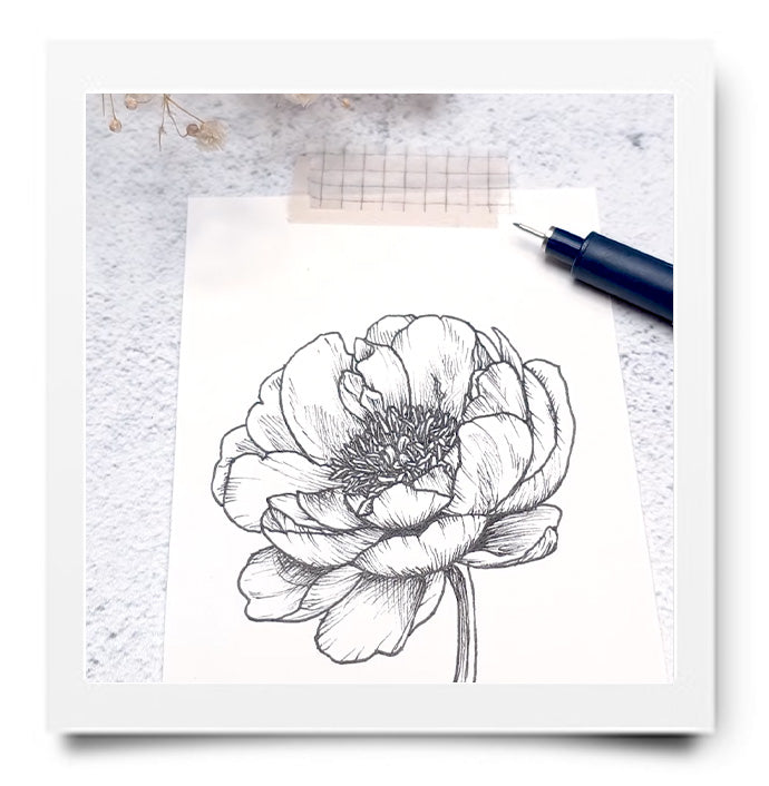 BLOEMEN TEKENEN
